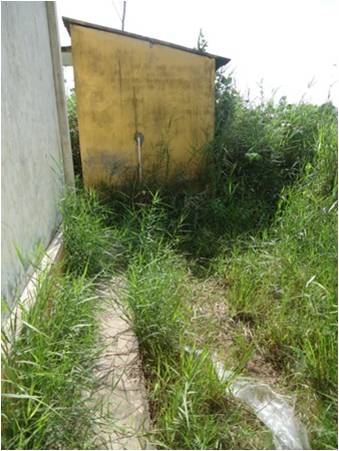 Nhà[-]vệ[-]sinh[-]hư[-]hỏng,[-]thầy[-]trò...[-]nín[-]tiểu